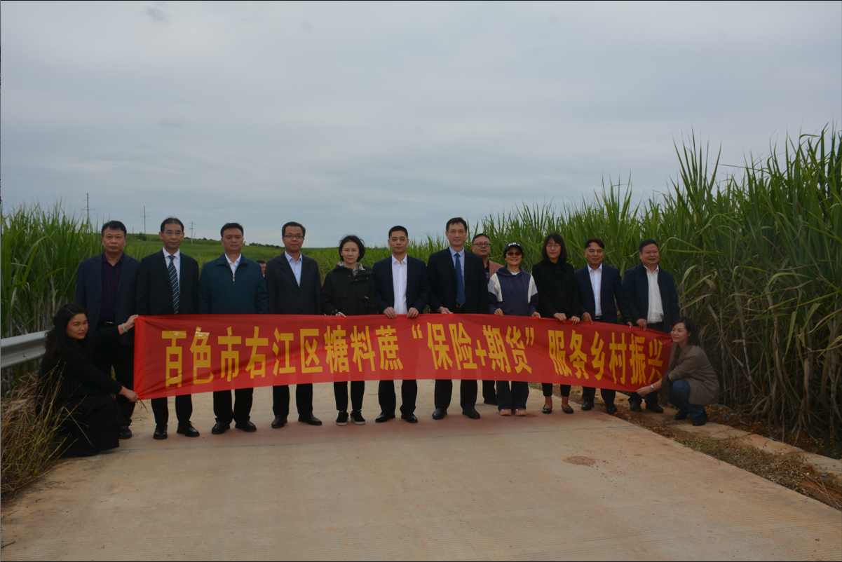 “保险+期货”助力乡村振兴 守护壮乡“甜蜜事业”--国海证券股份有限公司金融帮扶典型案例